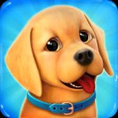 Lovely Pets Dog Town Image Lovely Pets Dog Town