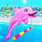 My Dolphin Show Image My Dolphin Show
