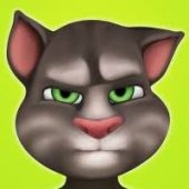 My talking Tom Image My talking Tom