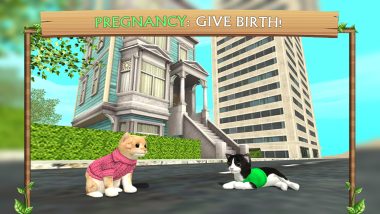 Simulator Cats Online Game screenshot Cat Simulator mod apk