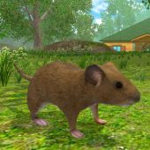 Mouse Simulator Image Mouse Simulator