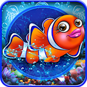 Pocket Aquarium Image Pocket Aquarium