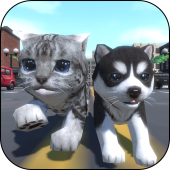 Cute Pocket Cat And Puppy 3D Image Cute Pocket Cat And Puppy 3D