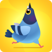 Pigeon Pop Image Pigeon Pop