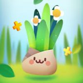Pocket Plants Image Pocket Plants