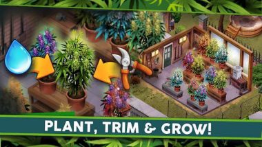 Download Hempire – Plant Growing Game Captura de pantalla del juego hempire apk mod