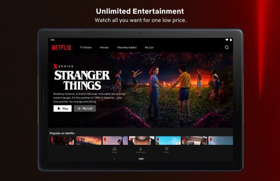 Screenshot Netflix application