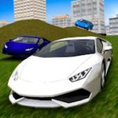 Multiplayer Driving Simulator Image Multiplayer Driving Simulator