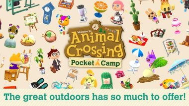 Animal Crossing Game screenshot Animal Crossing hack