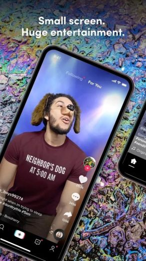 TikTok Screenshot TikTok mod