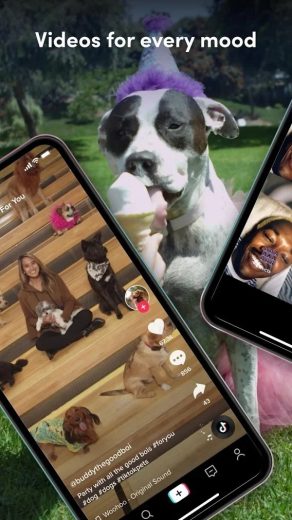 App TikTok Screenshot TikTok
