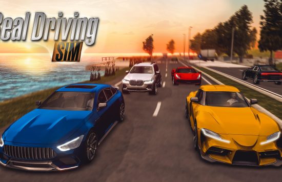 Game screenshot Real Driving Sim mod apk