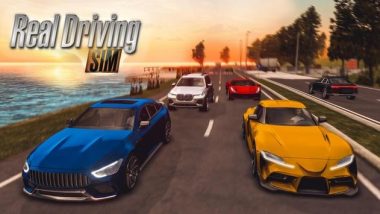 Real Driving Sim Game screenshot Real Driving Sim mod apk