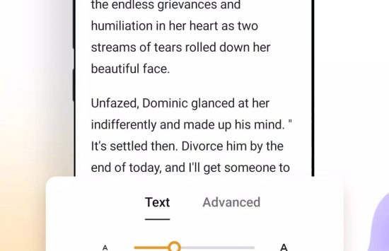 Screenshot Light Reader