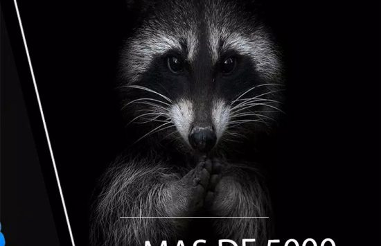 Cuevana 3 free download Screenshot Cuevana 3 free download