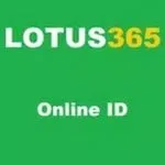 Lotus365