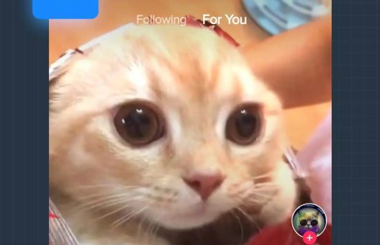 LuluboxPro (한국어 버전) screenshot 6