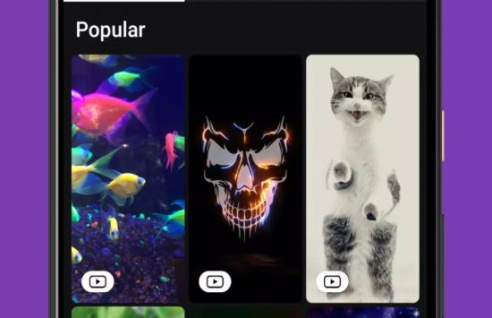 ZEDGE (7) ZEDGE™ Wallpapers & Ringtones (한국어 버전) screenshot 6