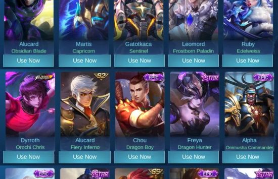 Screenshot unlock all skin injector