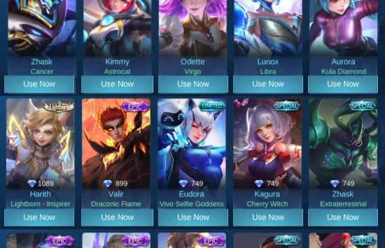 Screenshot unlock all skin injector application