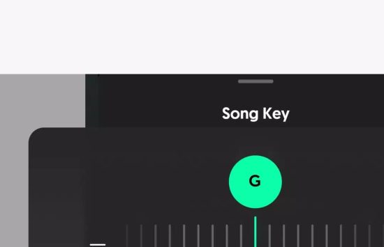 Moises (4) Moises: The Musician’s App (versione italiana) screenshot 4