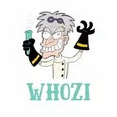Download file BestWhozi Profile Analysis