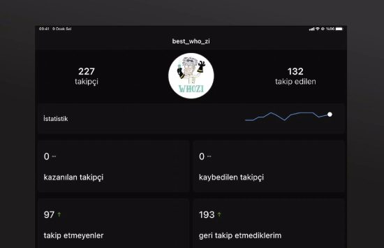 BestWhozi Profile Analysis (8) BestWhozi Profile Analysis (Versión española) screenshot 7