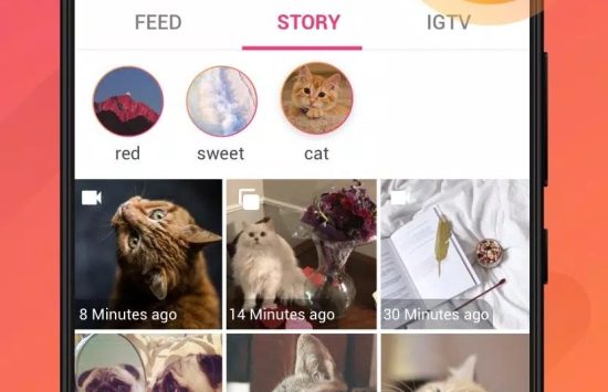 Story Saver for Instagram (2) Story Saver for Instagram – Story Downloader (suomenkielinen versio) screenshot 1
