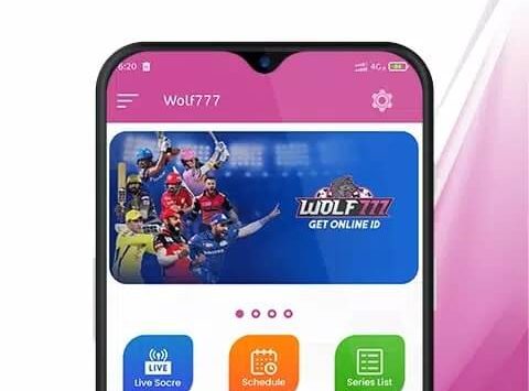 Wolf777 (2) Wolf777 – Cricket Live Line & Cricket Live Score (Versión española) screenshot 1