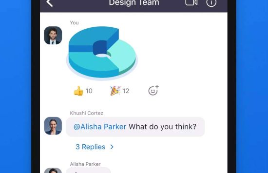 Screenshot Zoom Download