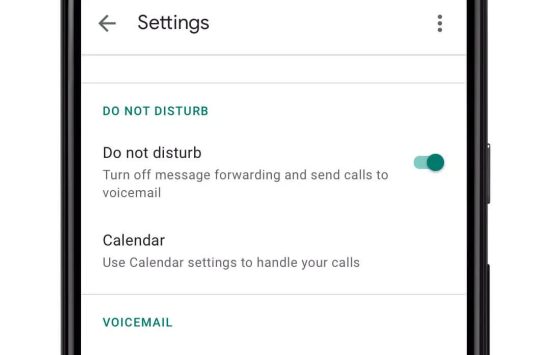 Google Voice (7) Google Voice (українська версія) screenshot 6
