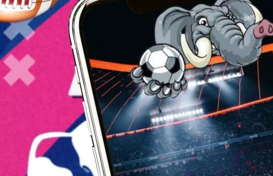 Elephant Bet: Soccer (日本語版) screenshot 5