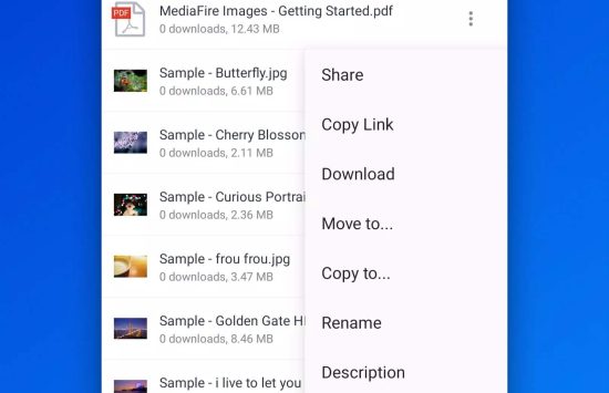 MediaFire (4) MediaFire (Svensk version) screenshot 3