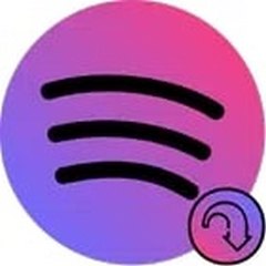Download file SpotiFlyer