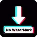 SssTiktok – Save Video Tiktok (日本語版)