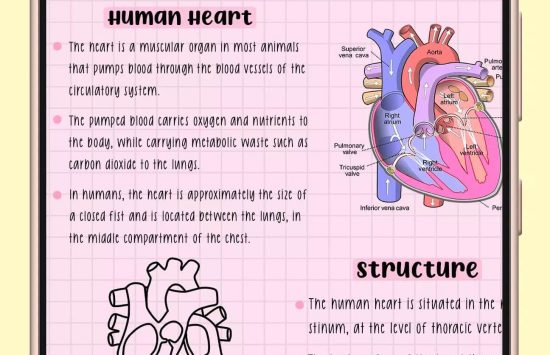 Screenshot Penly apk