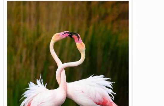 Screenshot NokoPrint mod