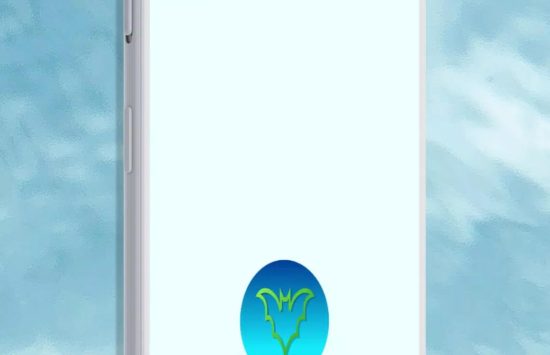 Screenshot BBVPN apk